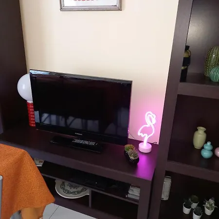 Flamingo House